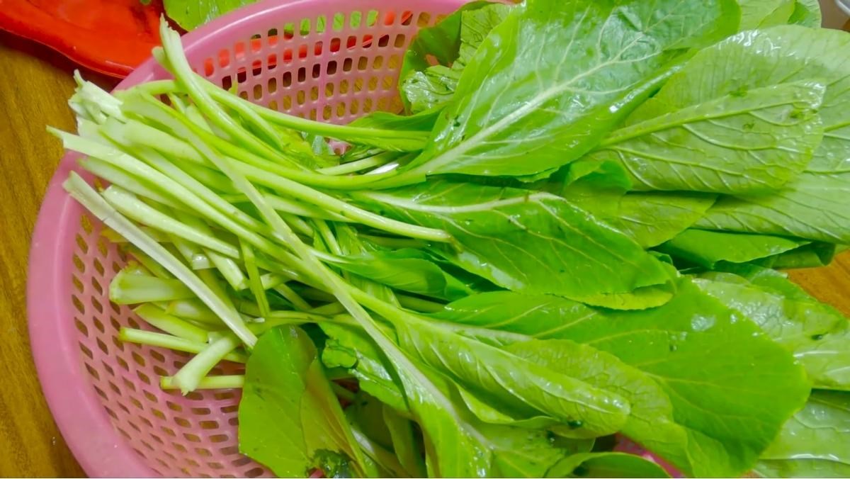 Hạt Giống Rau Cải
