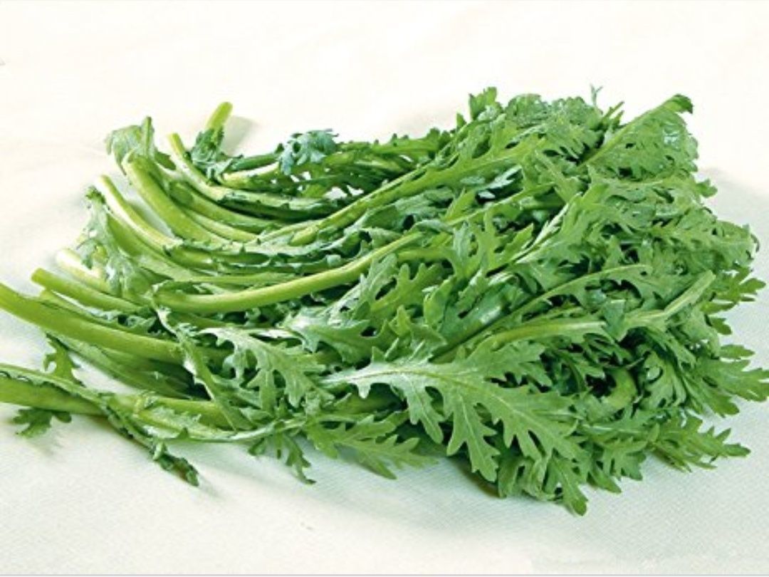 Hạt Giống Tần ô - Ngò gai
