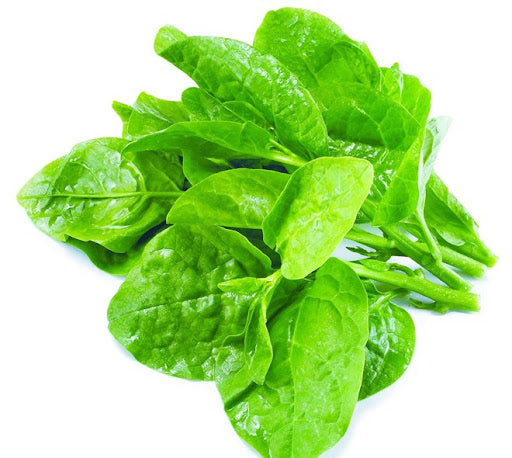 Hạt Giống Mồng Tơi - So Đũa