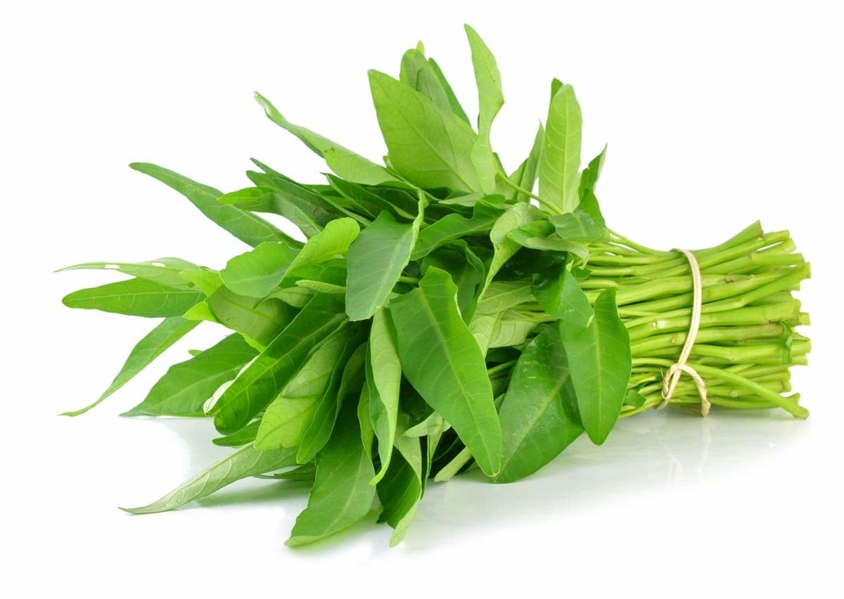 Hạt Giống Rau Muống