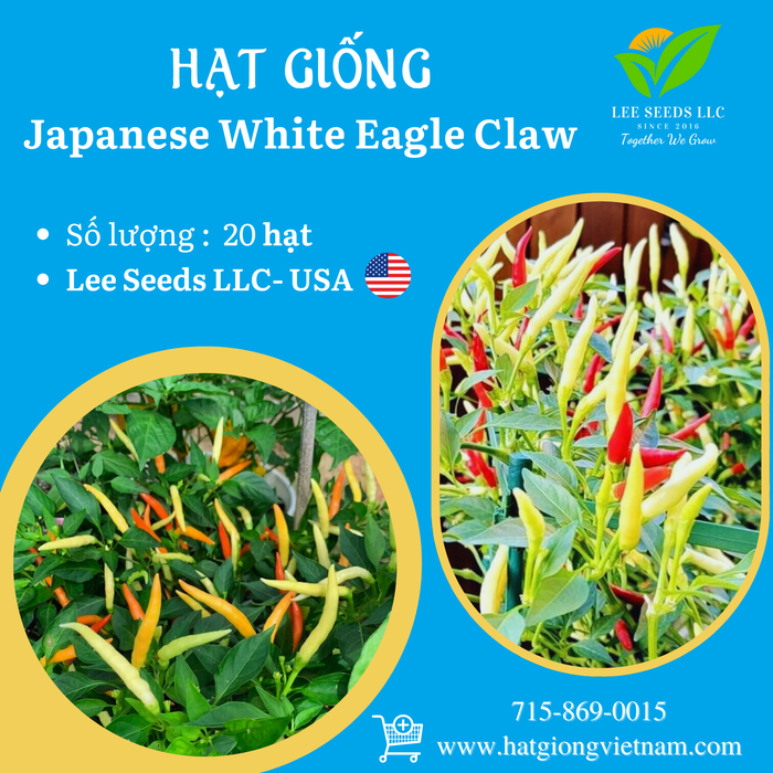 Japanese White Eagle Claw Chilli