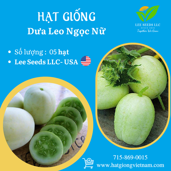 Dưa Leo Ngọc Nữ