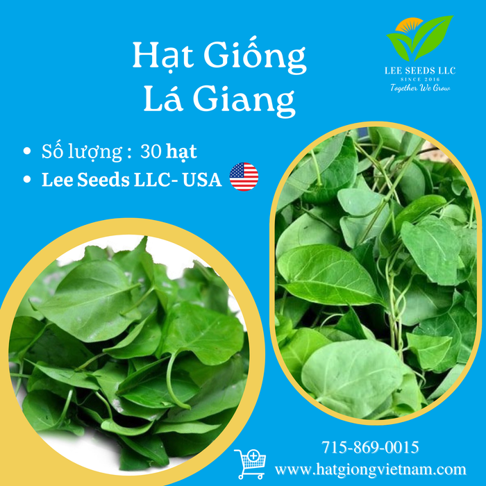 Lá Giang - Gói từ vườn ươm ( 30 hạt )