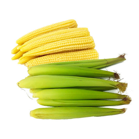 Ngô Bao Tử ( Ngô Rau ) Baby Corn 444