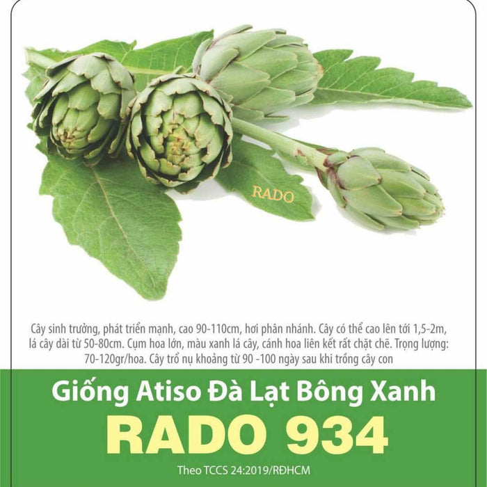 Atiso Đà Lạt Bông Xanh RADO 934