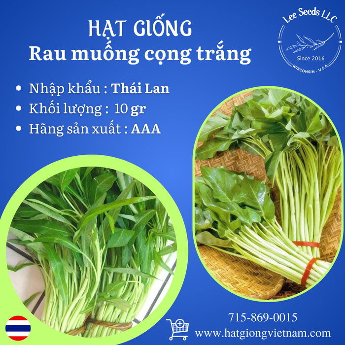 Rau muống Thái cọng trắng - GÓI 10 GAM
