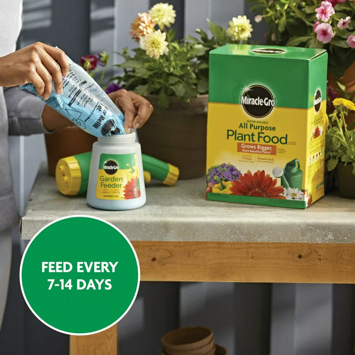 Miracle-Gro Plant Food - Phân pha nước tưới.