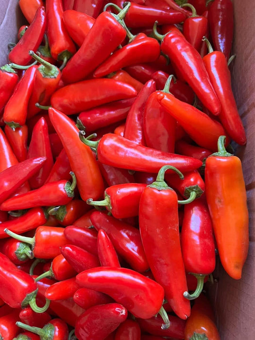 Ớt Banana Hot Pepper