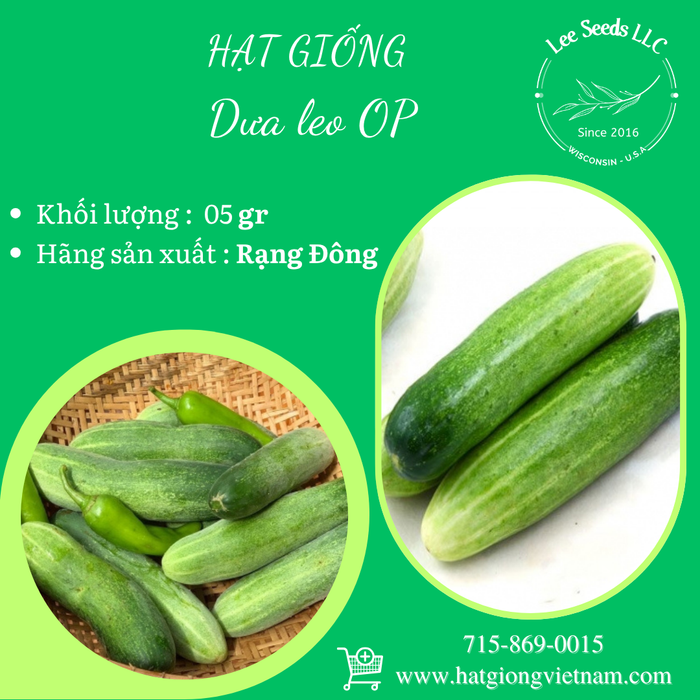 Dưa Leo OP
