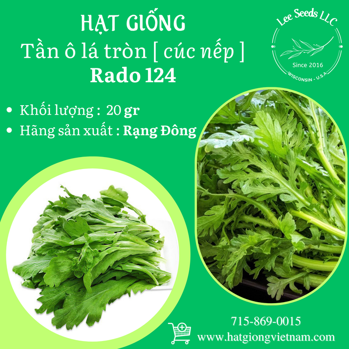 Tần Ô Lá Tròn ( Cúc Nếp ) RADO 124