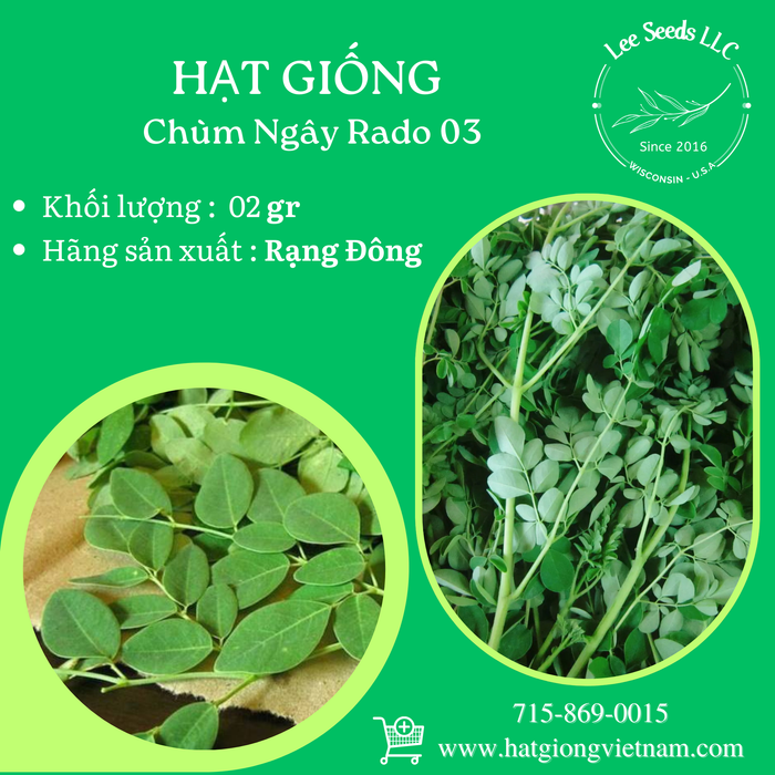 Chùm Ngây RADO 03