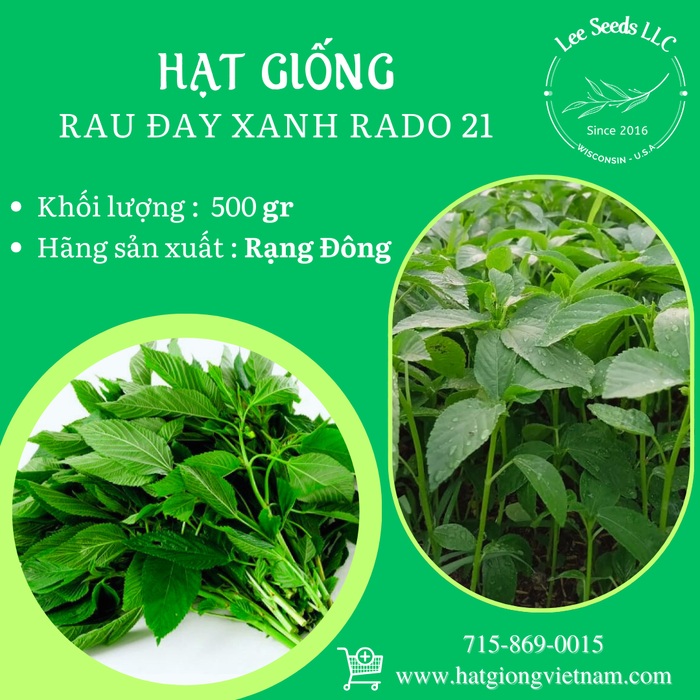 Rau Đay Xanh RADO 21 500gr