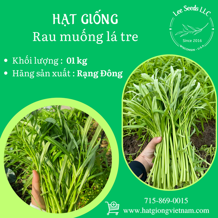 Rau Muống Lá Tre 1 KG