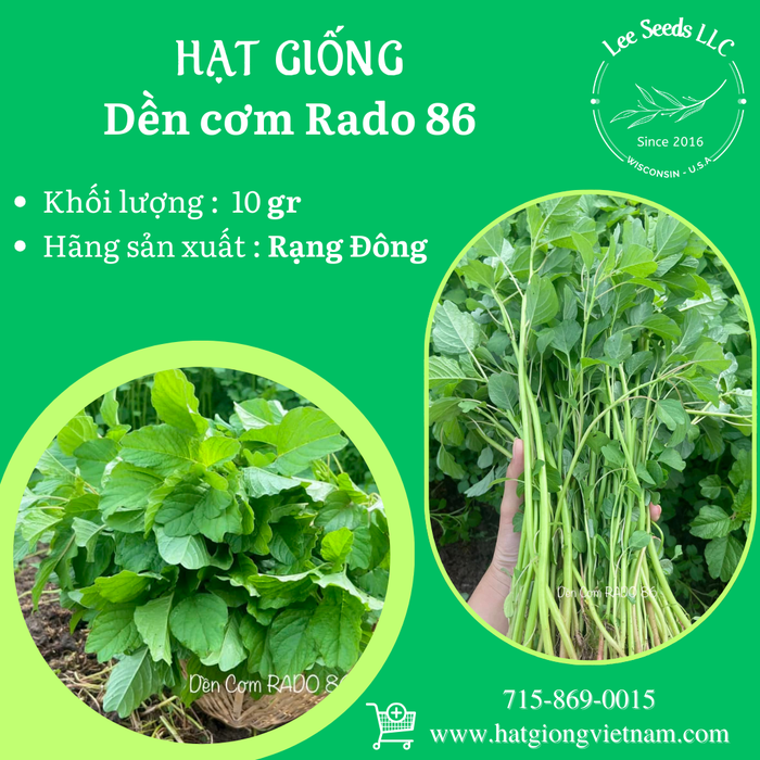 Dền Cơm RADO 86