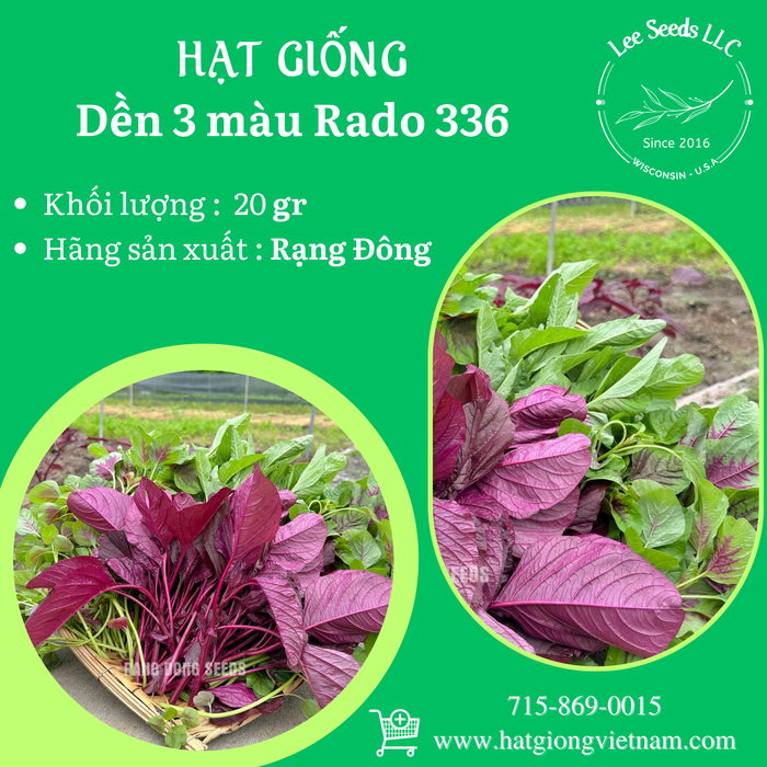 Rau Dền 3 Màu RADO 336