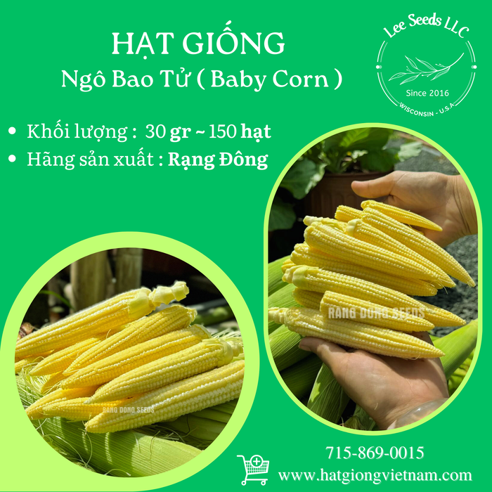 Ngô Bao Tử ( Baby Corn )