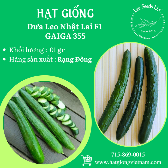 Dưa Leo Nhật Lai F1 GAIGA 355