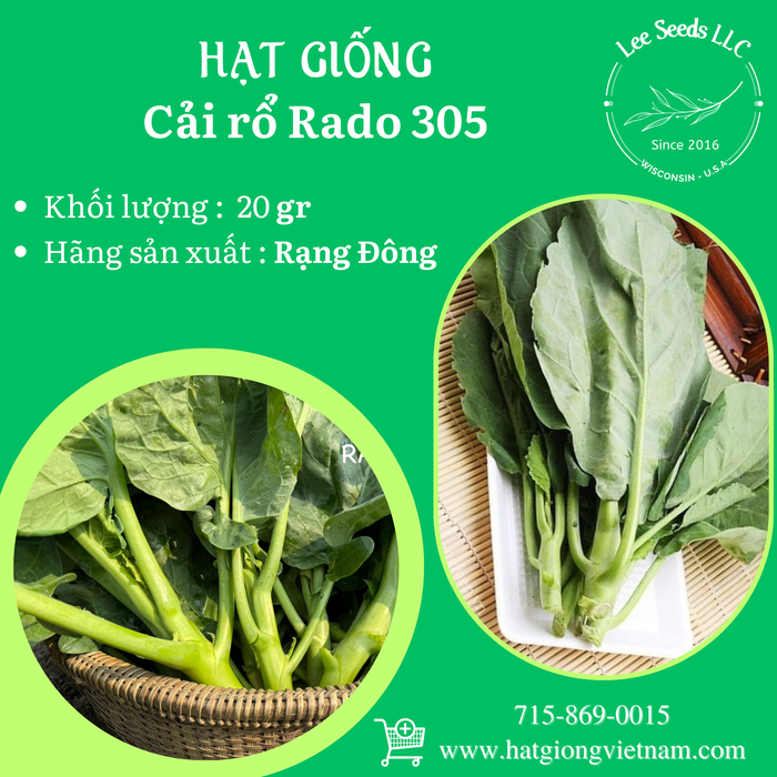 Cải Rổ RADO 305
