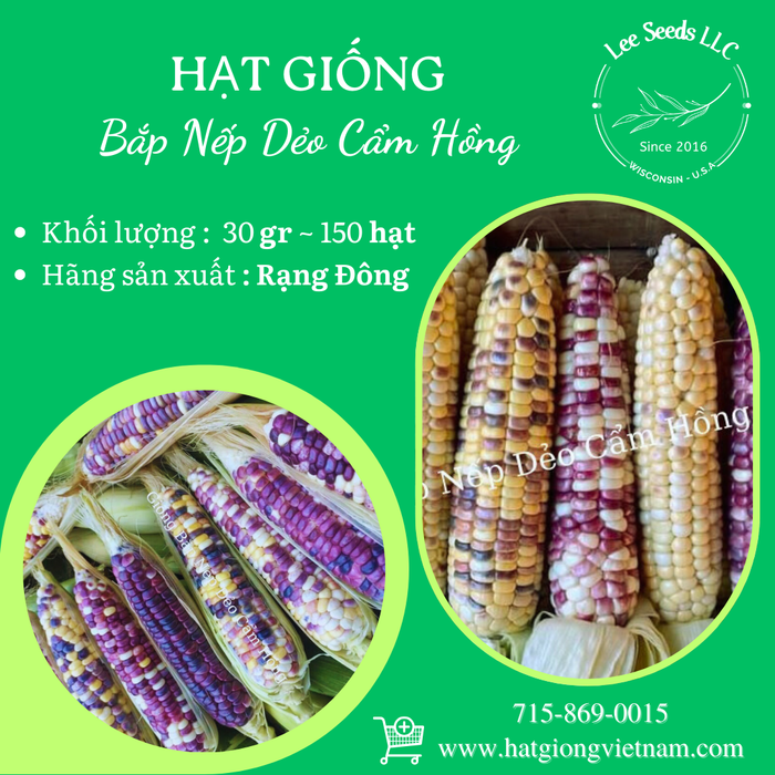 Bắp Nếp Dẻo Cẩm Hồng GÓI 30GR 150 HẠT