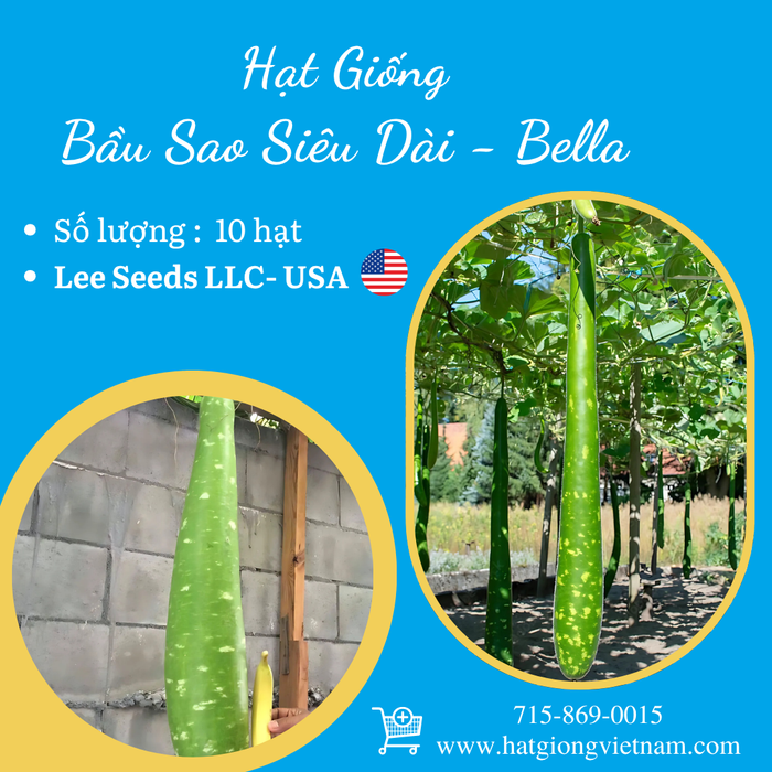 Bầu Sao Siêu Dài - Bella