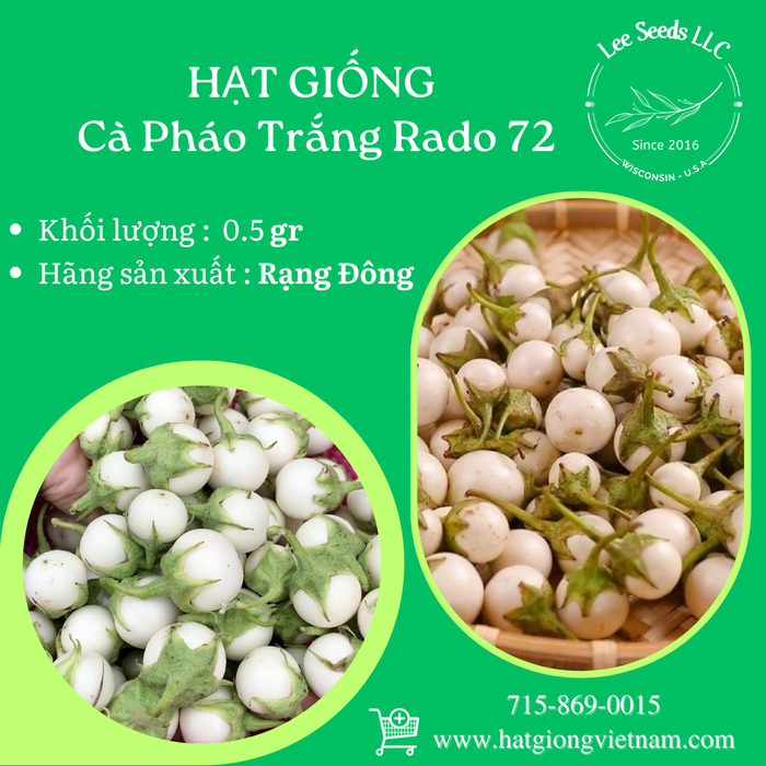 Cà Pháo Trắng RADO 72
