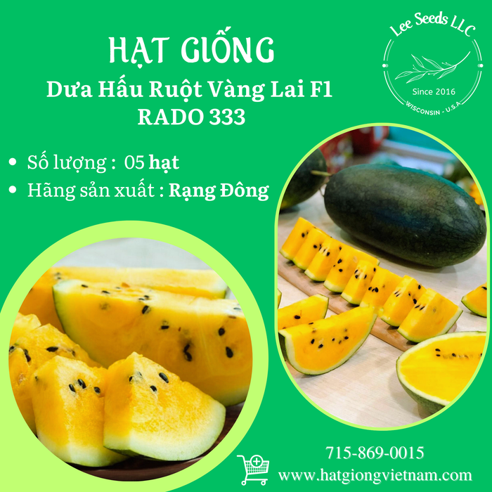 Dưa Hấu Ruột Vàng Lai F1 RADO 333