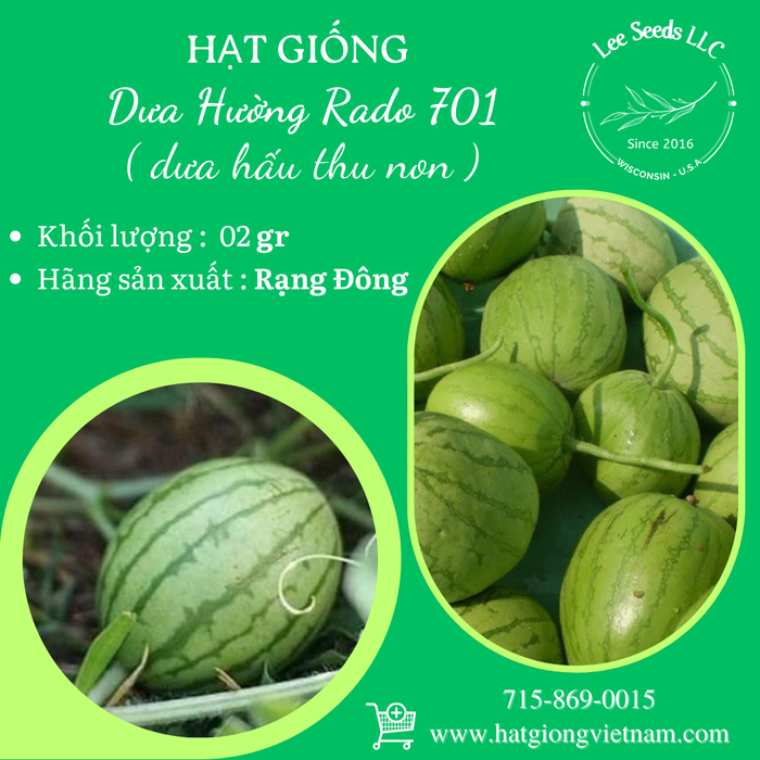 Hạt Giống Dưa Hường ( dưa hấu thu non ) Rado 701