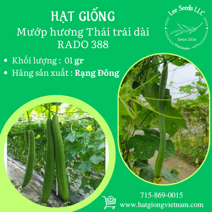 Mướp hương Thái trái dài RADO 388