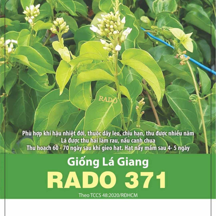 Lá Giang RADO 371