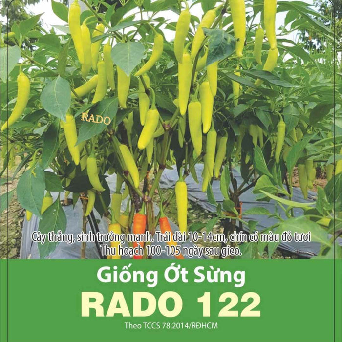 Ớt Sừng RADO 122