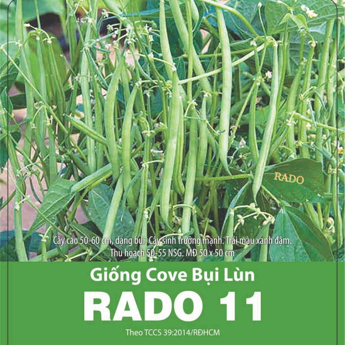 Cove Bụi Lùn RADO 11