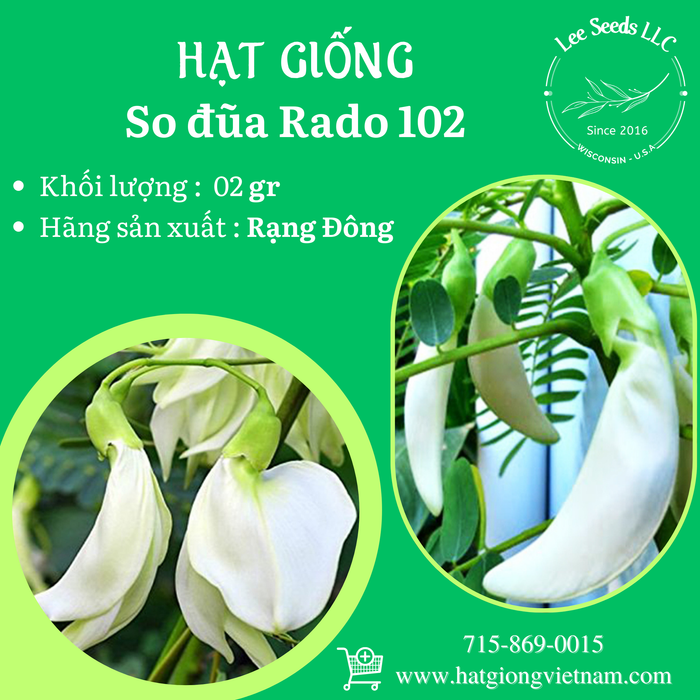So Đũa Trắng RADO 102