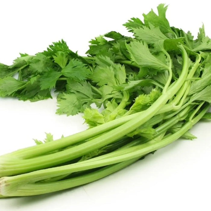 Cách phân biệt các loại rau cần