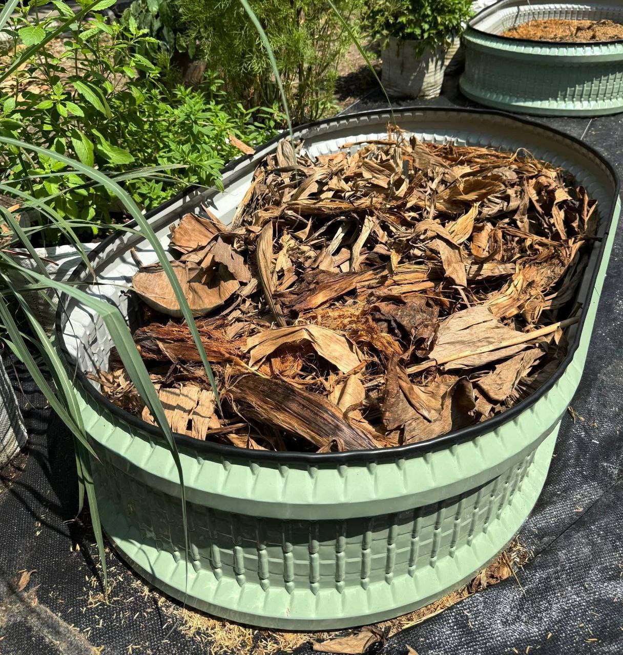 Chia Sẻ Kinh Nghiệm Làm Đất Cho Raised Bed