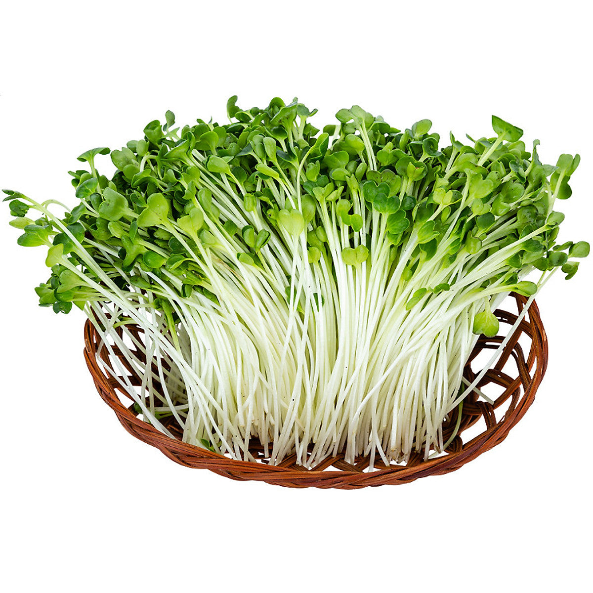 Rau Mầm