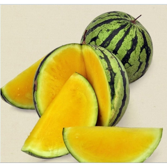 Hạt Giống Dưa Hấu Ruột Vàng [ E-W Seeds - Thái Lan ]