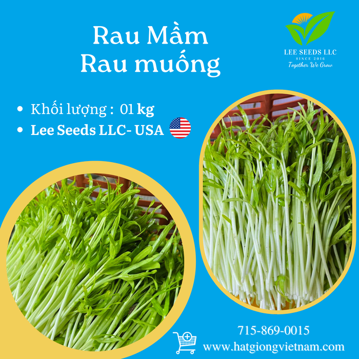 Rau mầm rau muống túi 1 KILOGRAM
