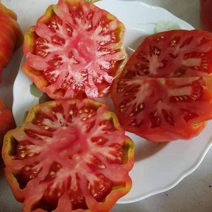 Cà Chua Múi Cổ Sơn La