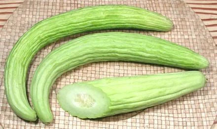 Dưa Chuột Rắn Snake Cucumber 221