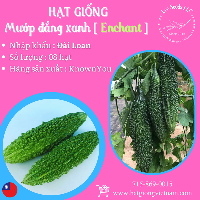 MƯỚP ĐẮNG XANH - ENCHANT [ KNOWN YOU SEEDS - ĐÀI LOAN ]