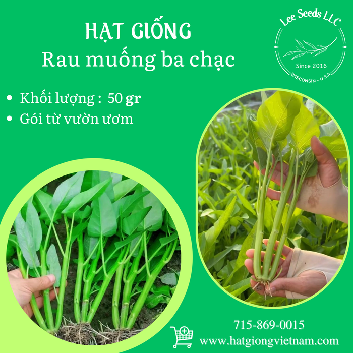 Rau Muống Ba Chạc GÓI 50 GAM ZIPLOC