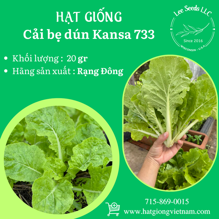 Cải Bẹ Dún Kansa 733