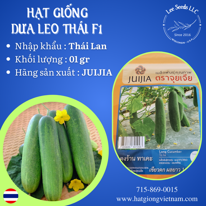 Hạt Giống Dưa Leo Thái Lan F1 [ JUJIA ]