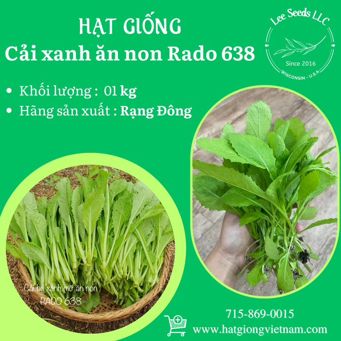 Cải Xanh Ăn Non RADO 638 - TÚI SIZE FARM 1 KILOGRAM