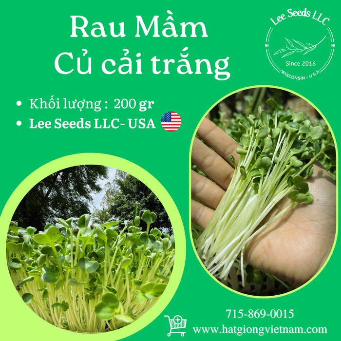 Rau mầm củ cải trắng 200gr