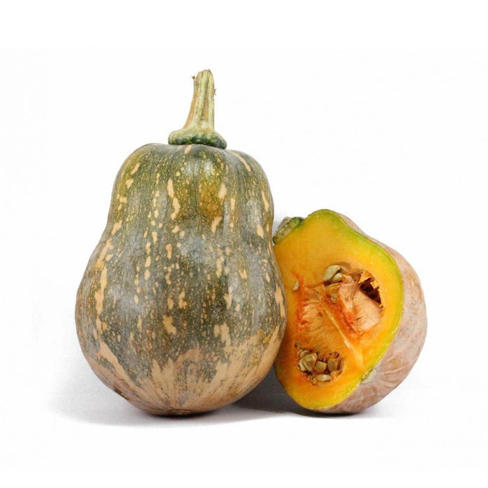Hạt Giống Bí Đỏ Hạt Đậu [ E-W Seeds - Thái Lan ]