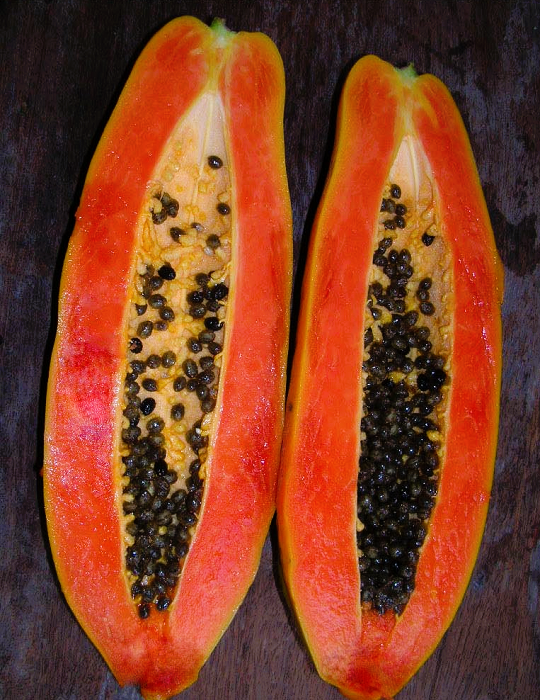 Đu Đủ Ruột Gấc Trái Dài F1  [ Nova - E-W Seeds - Thái Lan ]