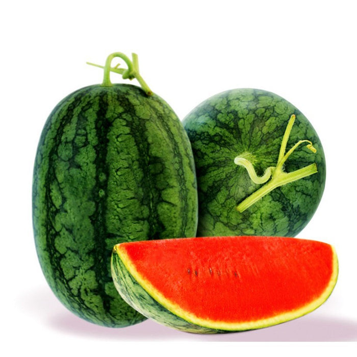 Hạt Giống Dưa Hấu Ruột Đỏ [ E-W Seeds - Thái Lan ]