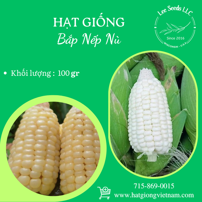 Bắp Nếp Nù - 100gr