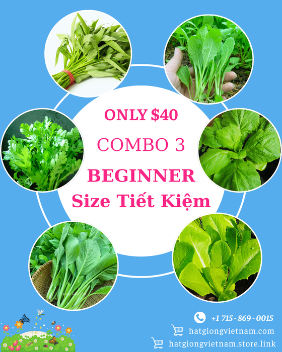 Combo 3 [ 𝐒𝐈𝐙𝐄 𝐅𝐀𝐑𝐌, 𝐁𝐄𝐆𝐈𝐍𝐍𝐄𝐑 ] – Size tiết kiệm.